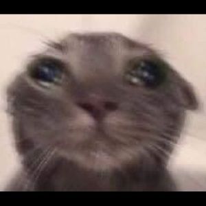 Meet your Posher, Madi